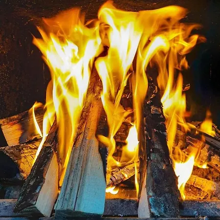 Szarejkowy Glamp *